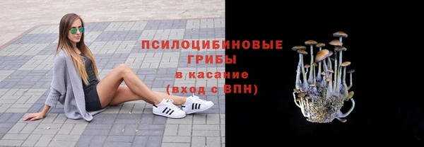 крисы Алексин