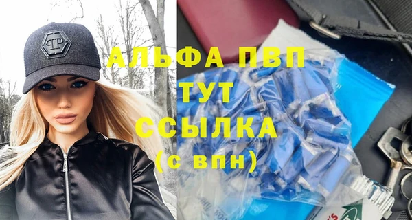 гашик Михайловск