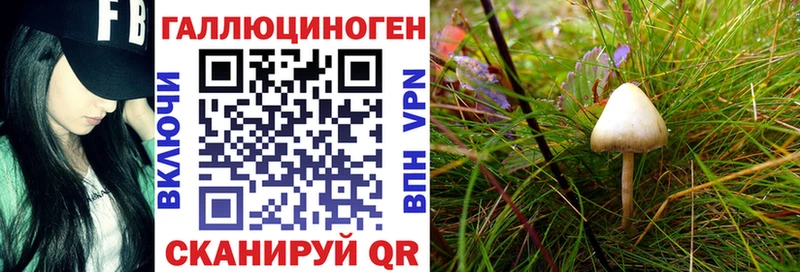 Псилоцибиновые грибы Psilocybine cubensis  Монино 